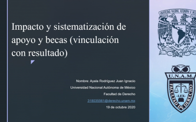 2.5 El fin óptimo de las becas universitarias y su vinculación con los resultados